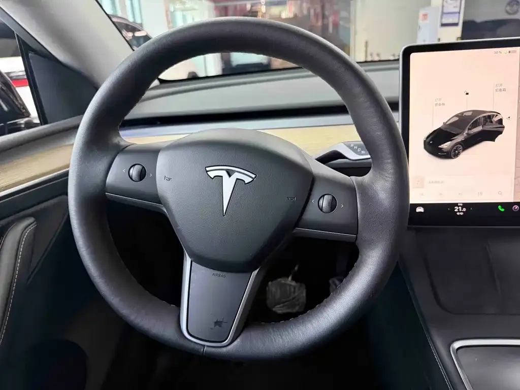 Tesla Model Y — фото 6