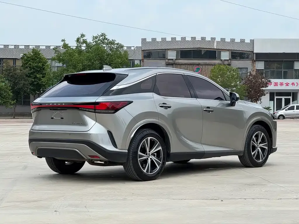 Lexus RX — фото 10