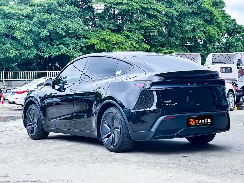 Tesla Model Y — фото 10