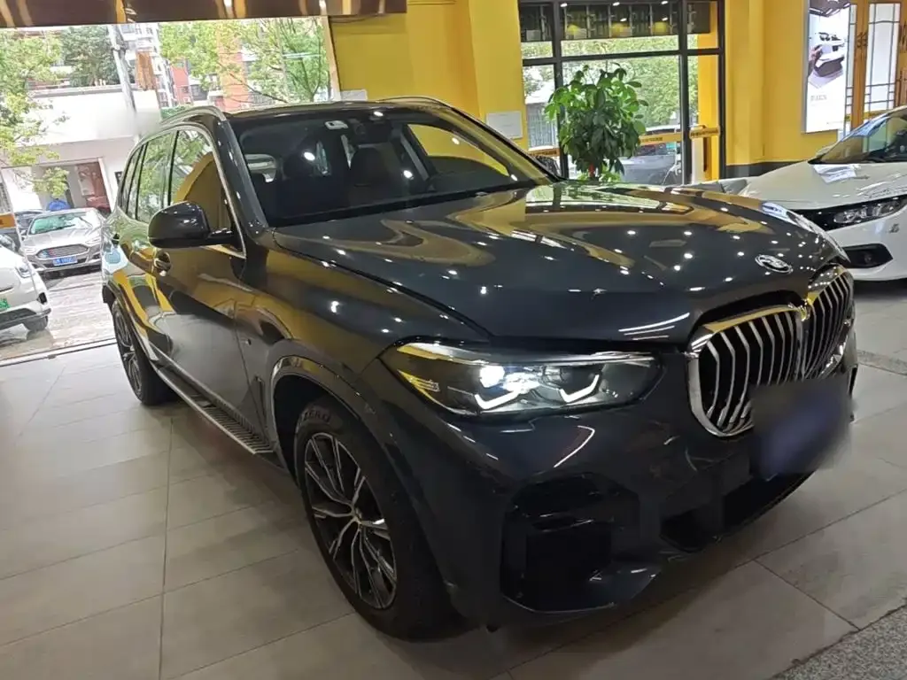 BMW X5 (Import) 2022 из CN, фото 6
