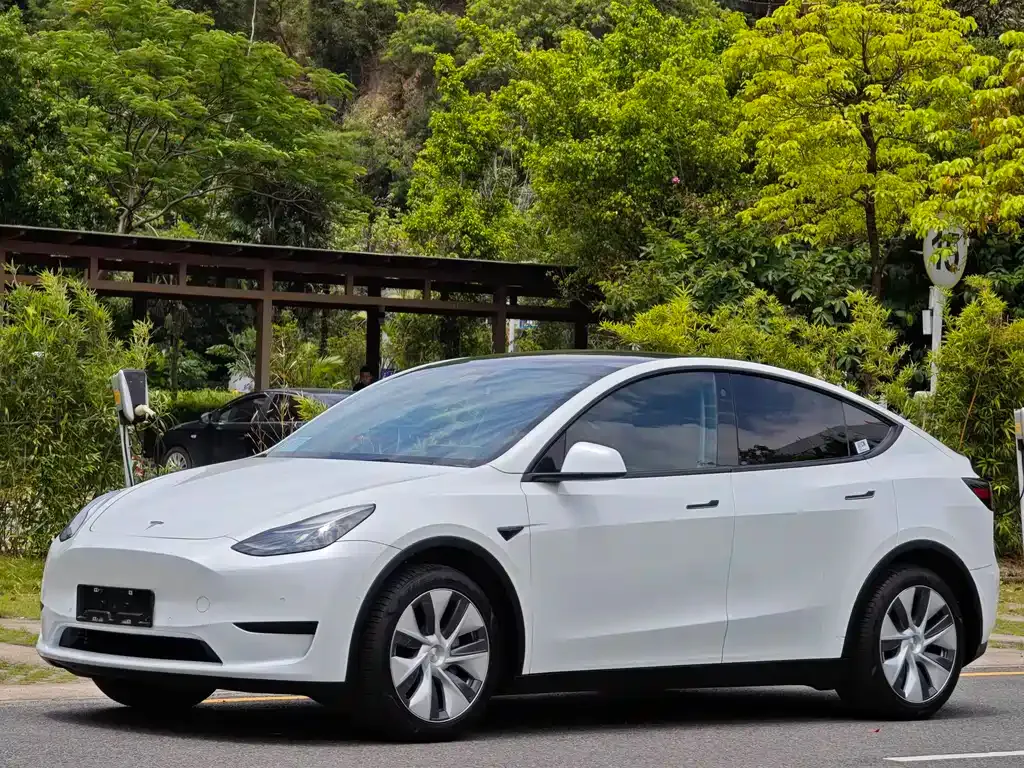 Tesla Model Y — фото 1