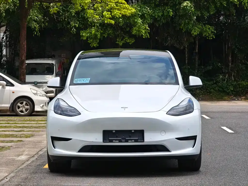 Tesla Model Y — фото 8