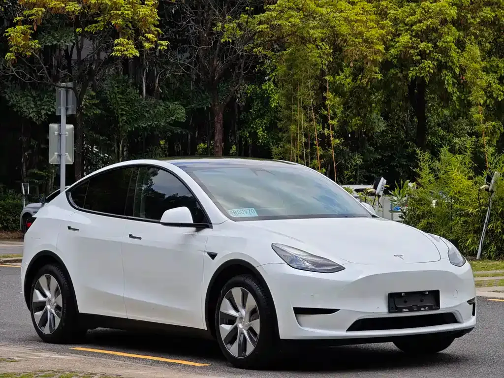 Tesla Model Y — фото 6