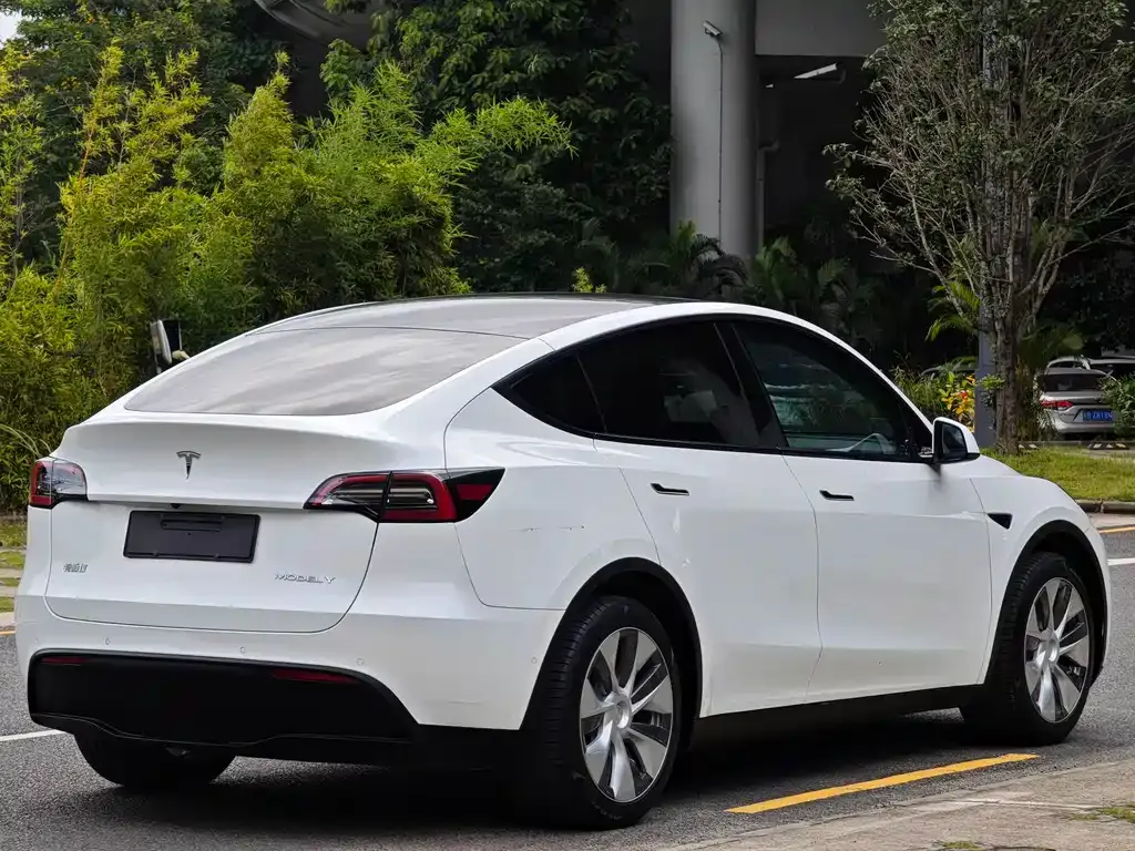 Tesla Model Y — фото 9
