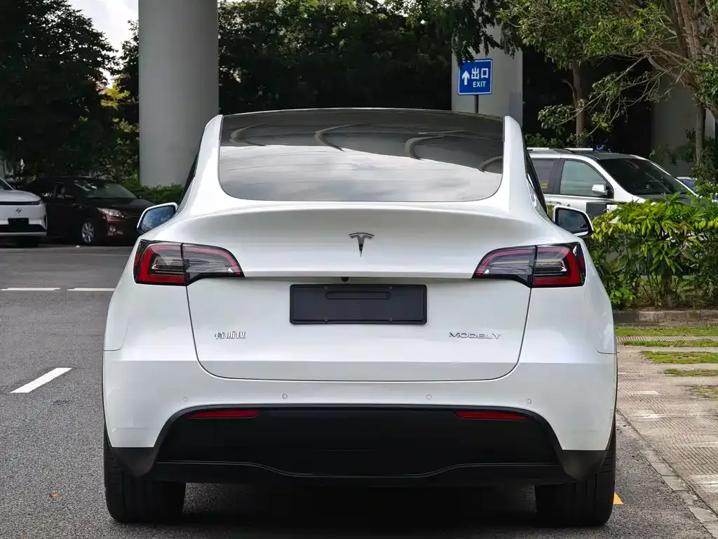 Tesla Model Y — фото 10