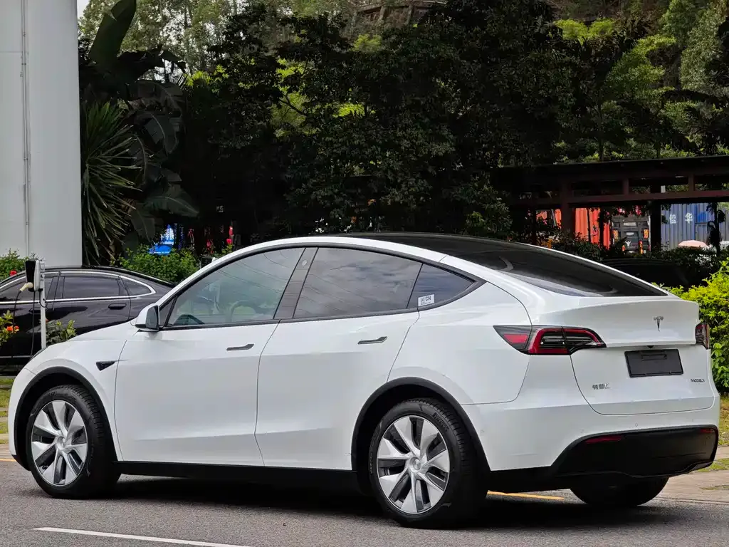 Tesla Model Y — фото 3