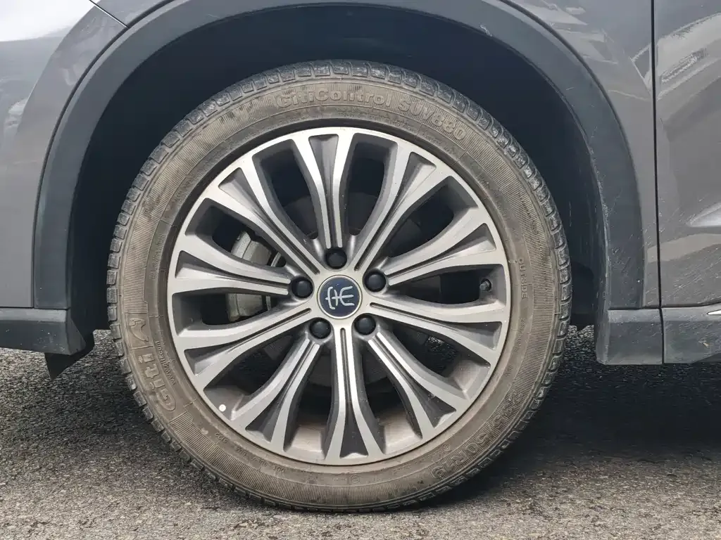 BYD Pro New Energy — фото 4