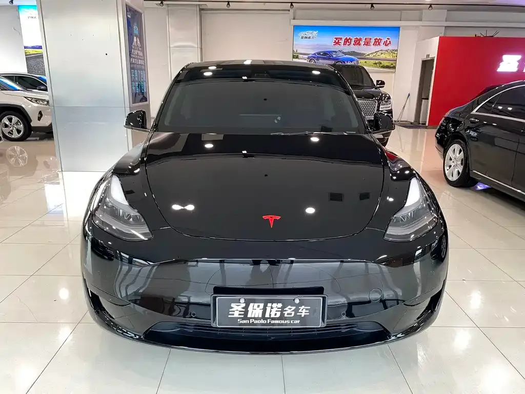 Tesla Model Y — фото 3