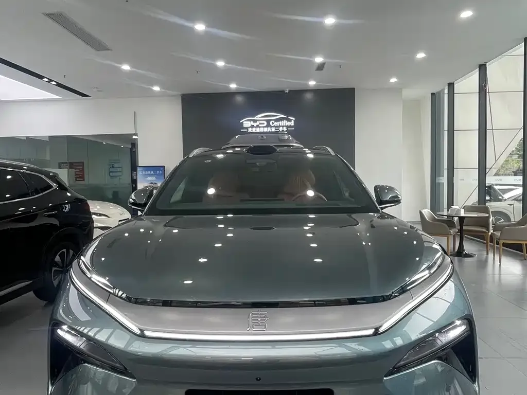 BYD Tang L — фото 10