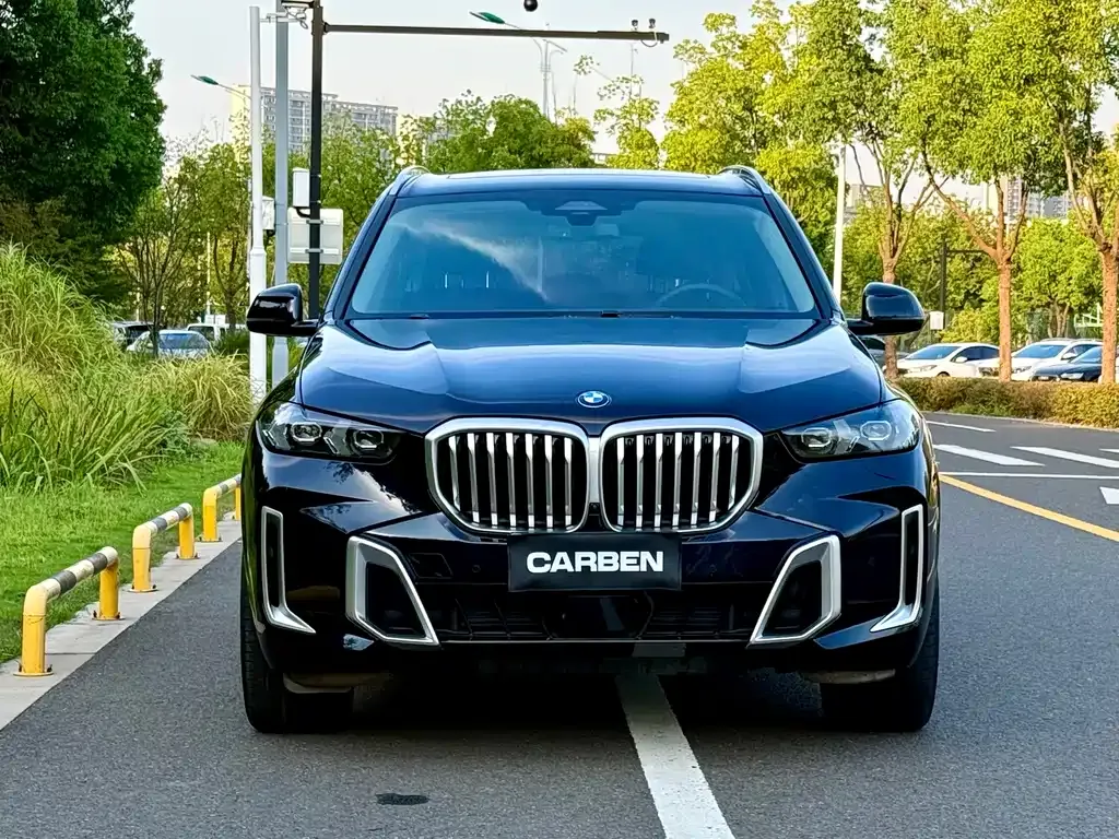 BMW X5 — фото 10