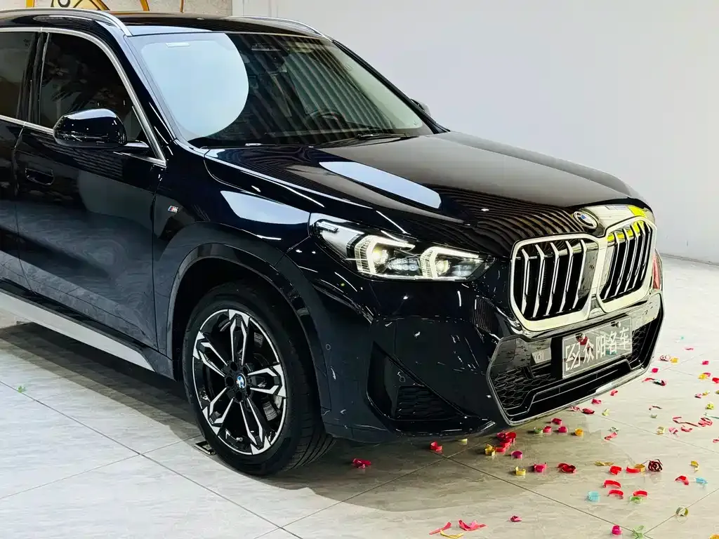 BMW X1 — фото 8