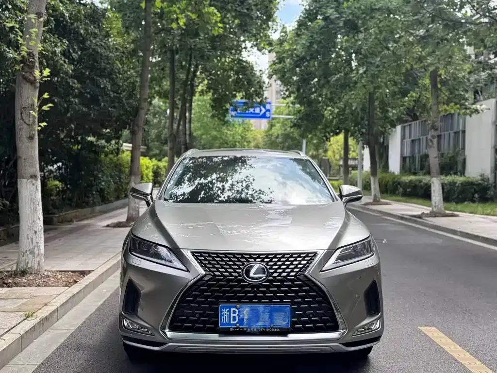 Lexus RX 2022 из CN, фото 10