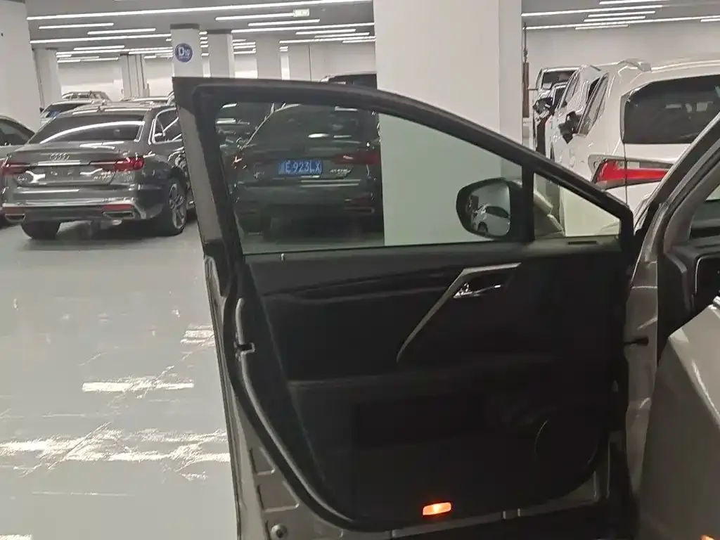 Lexus RX 2022 из CN, фото 6