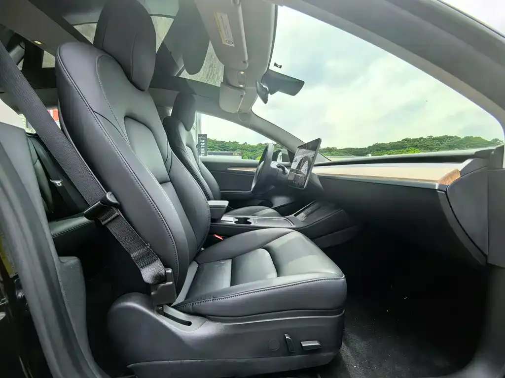 Tesla Model 3 — фото 2
