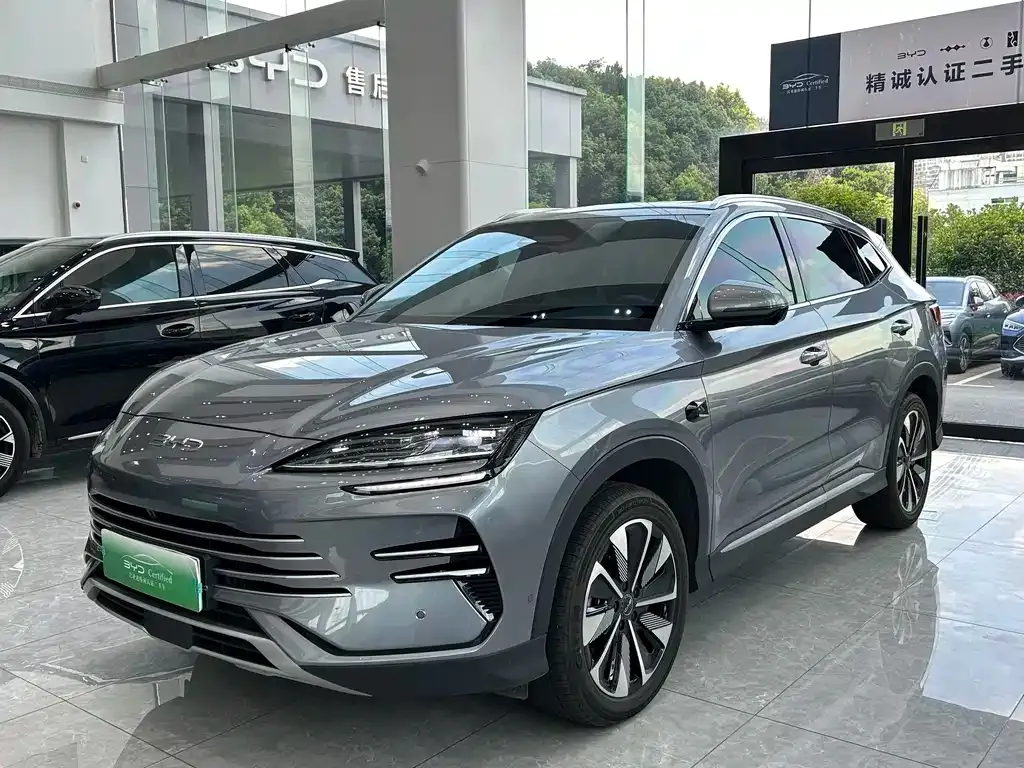 BYD PLUS New Energy — фото 1
