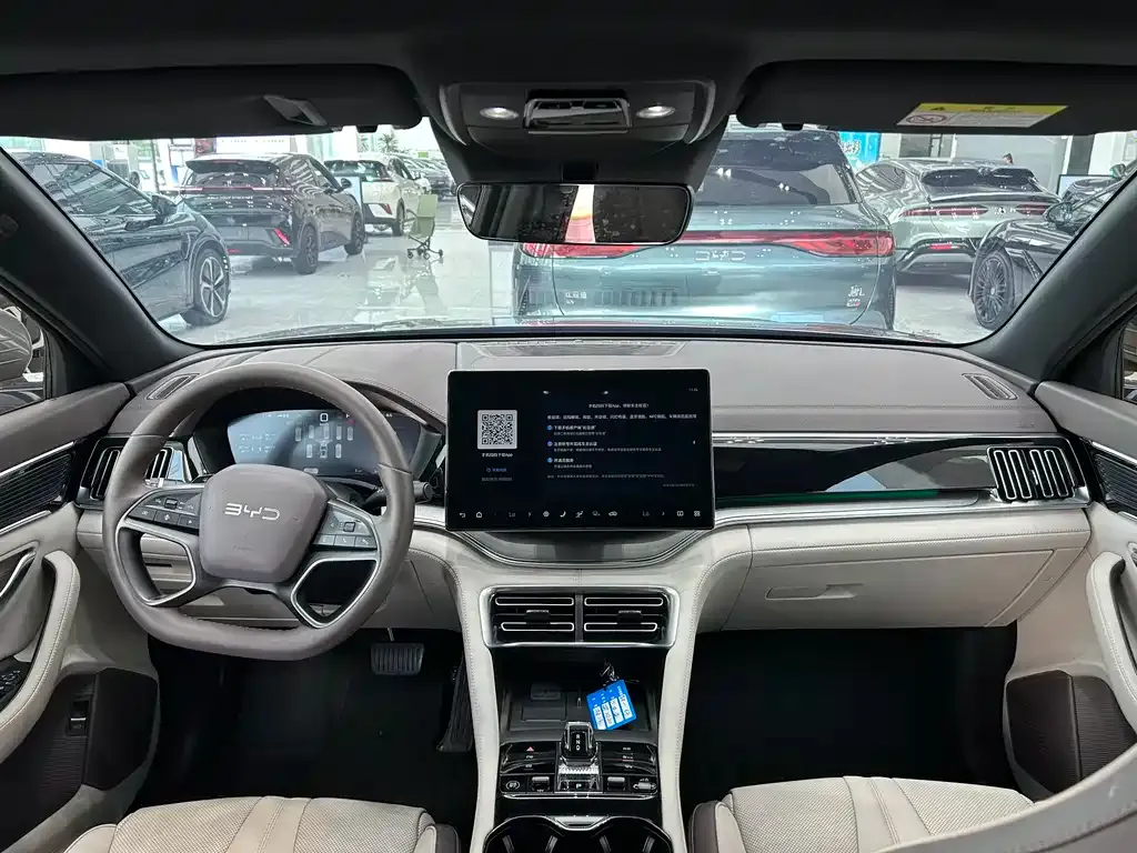 BYD PLUS New Energy — фото 10