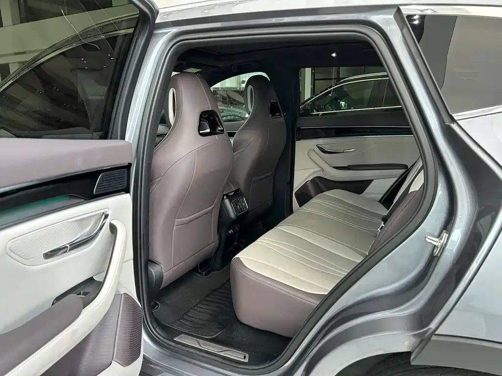 BYD PLUS New Energy — фото 4