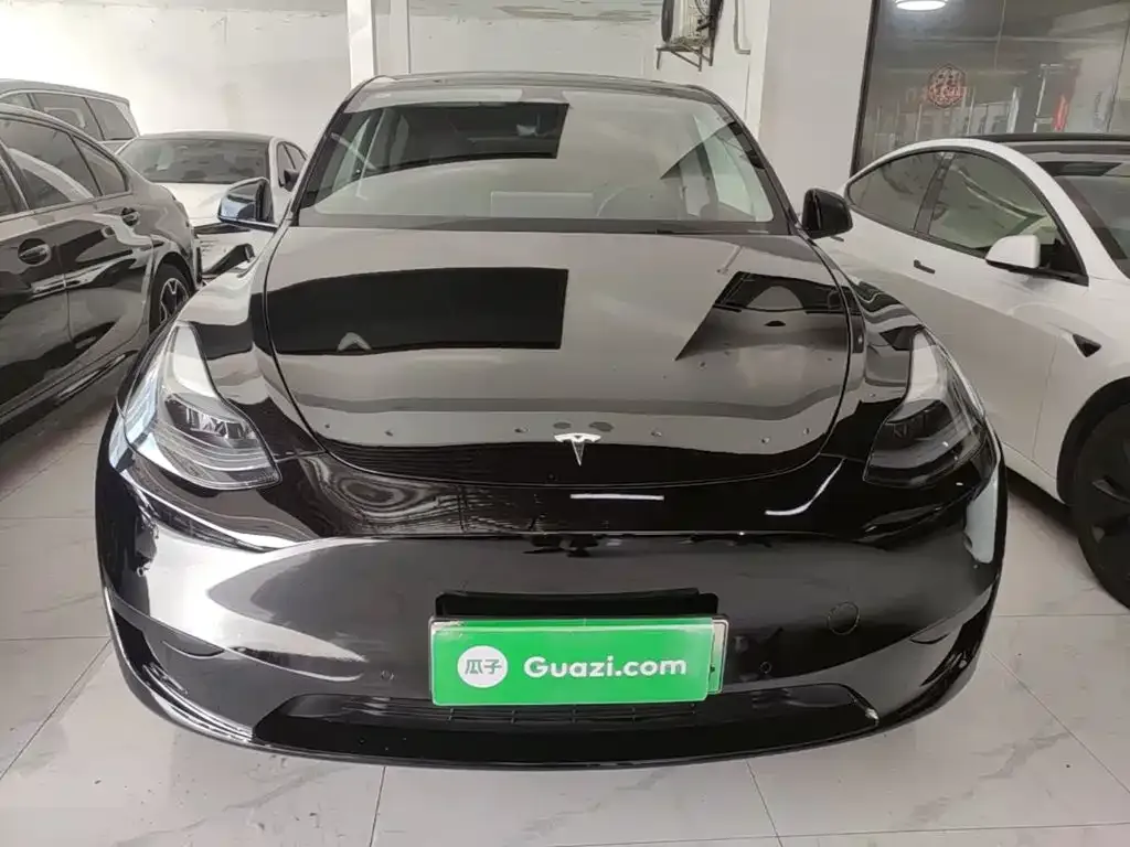 Tesla Model Y — фото 2