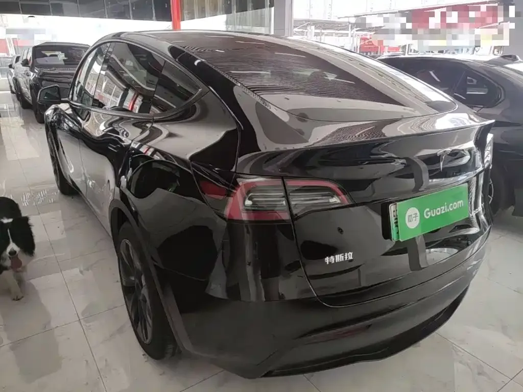 Tesla Model Y — фото 5