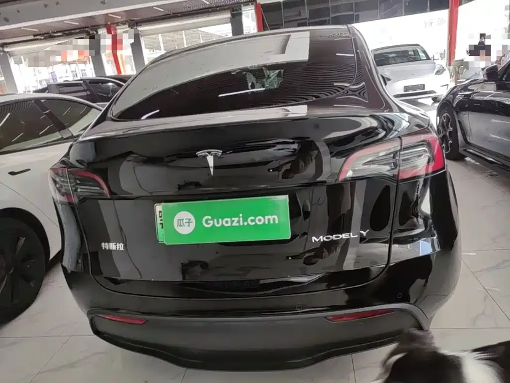 Tesla Model Y — фото 9