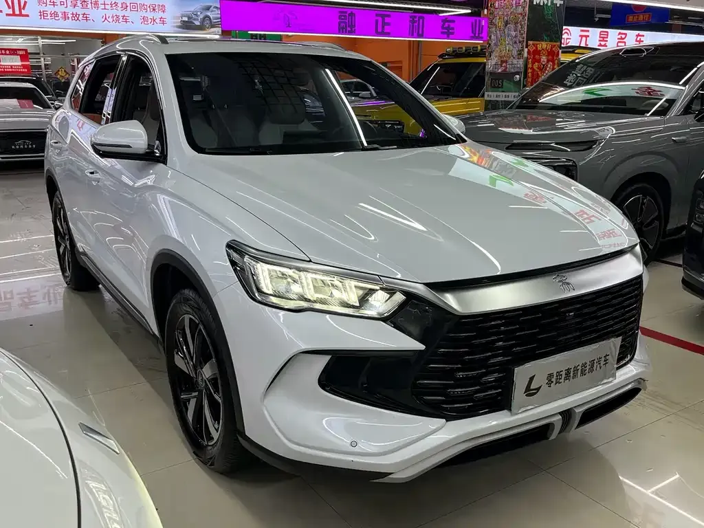 BYD Pro New Energy — фото 9