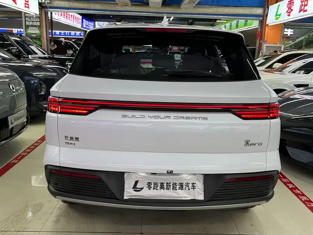 BYD Pro New Energy — фото 5