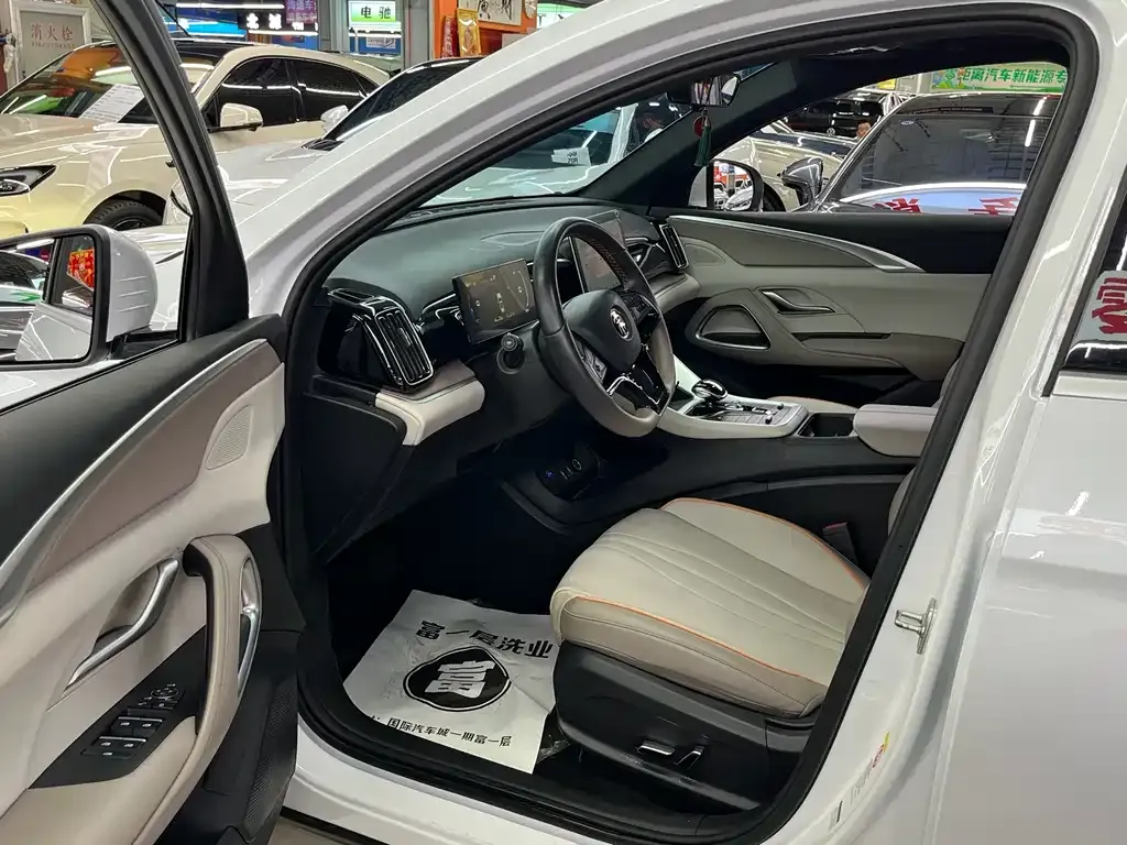 BYD Pro New Energy — фото 7
