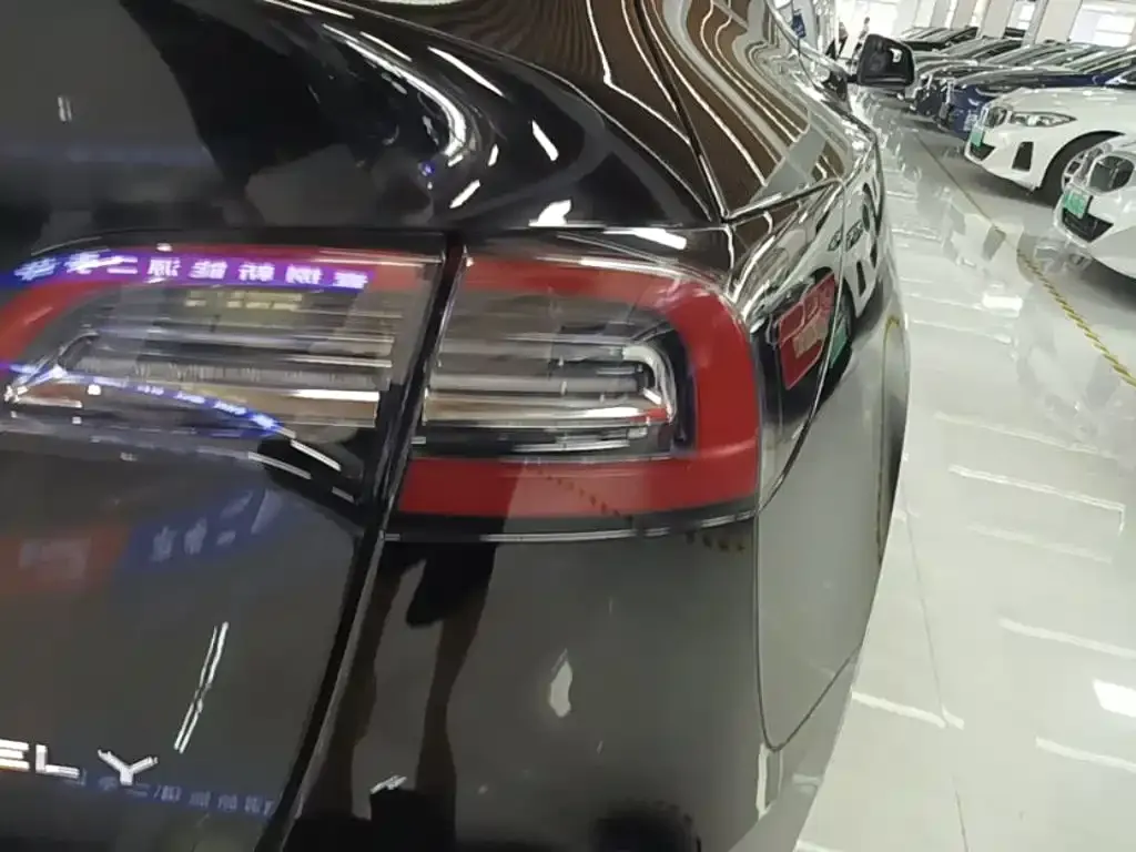 Tesla Model Y — фото 3