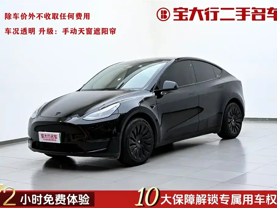 Tesla Model Y — фото 1