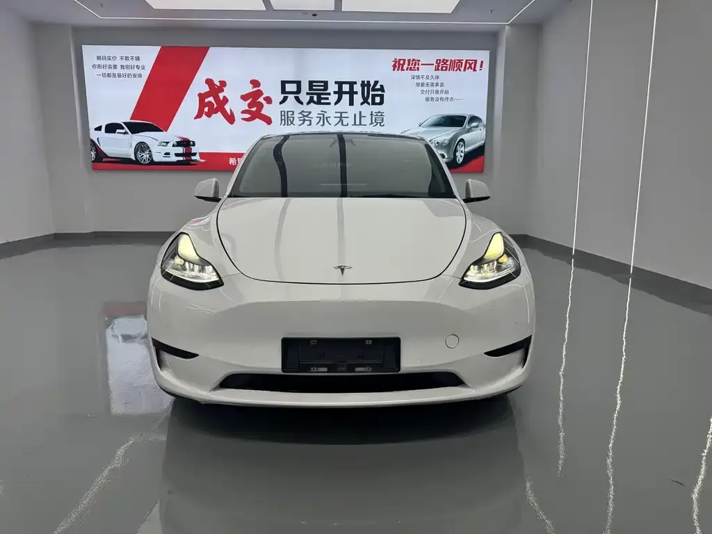 Tesla Model Y 2022 из CN, фото 8