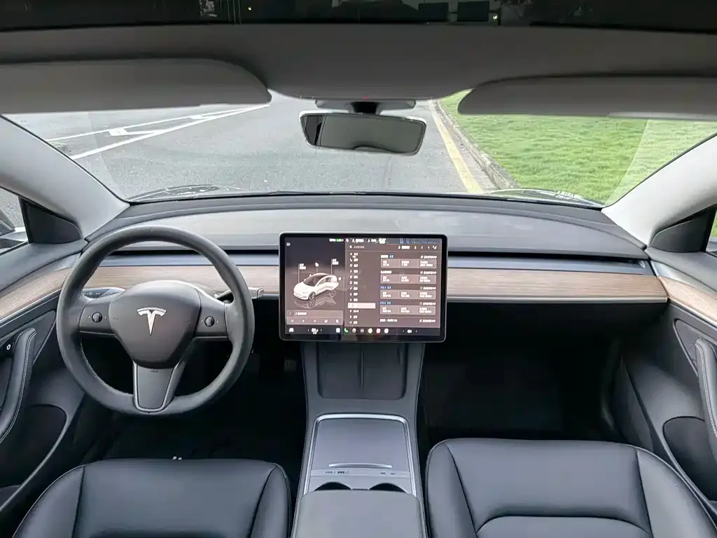 Tesla Model 3 — фото 2
