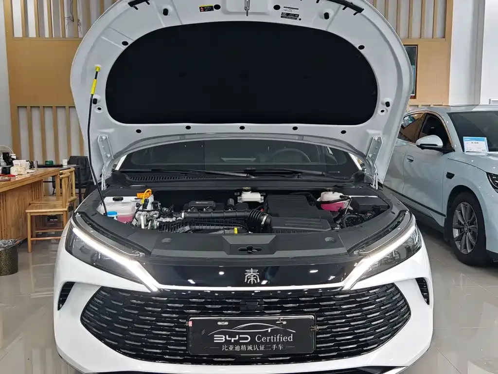 BYD Qin L 2024 из CN, фото 6