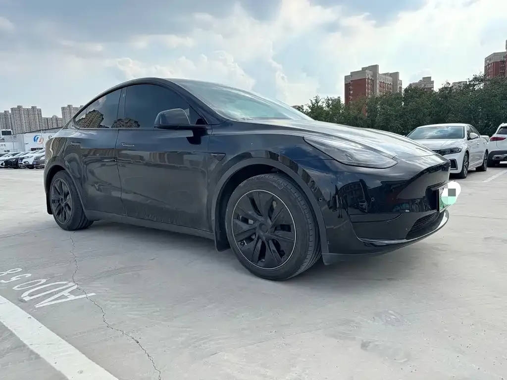 Tesla Model Y — фото 5