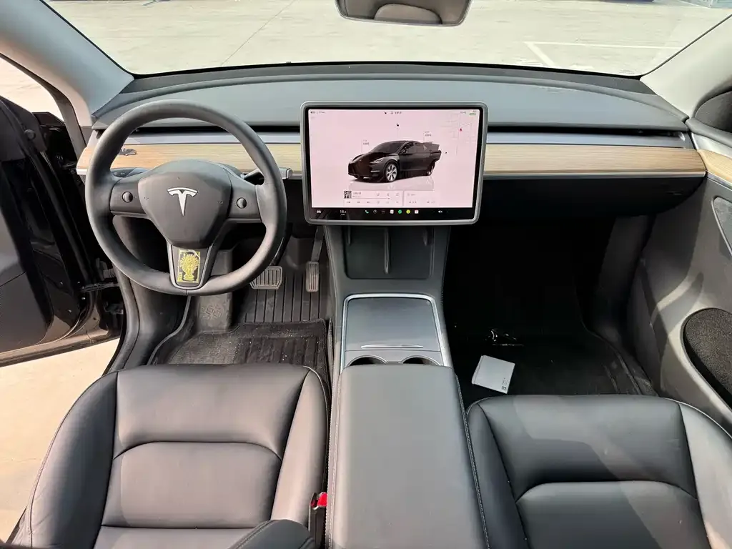 Tesla Model Y — фото 6