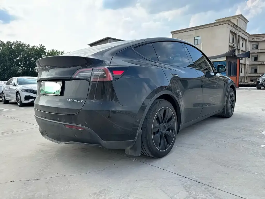 Tesla Model Y — фото 3