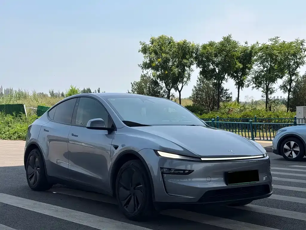 Tesla Model Y — фото 3