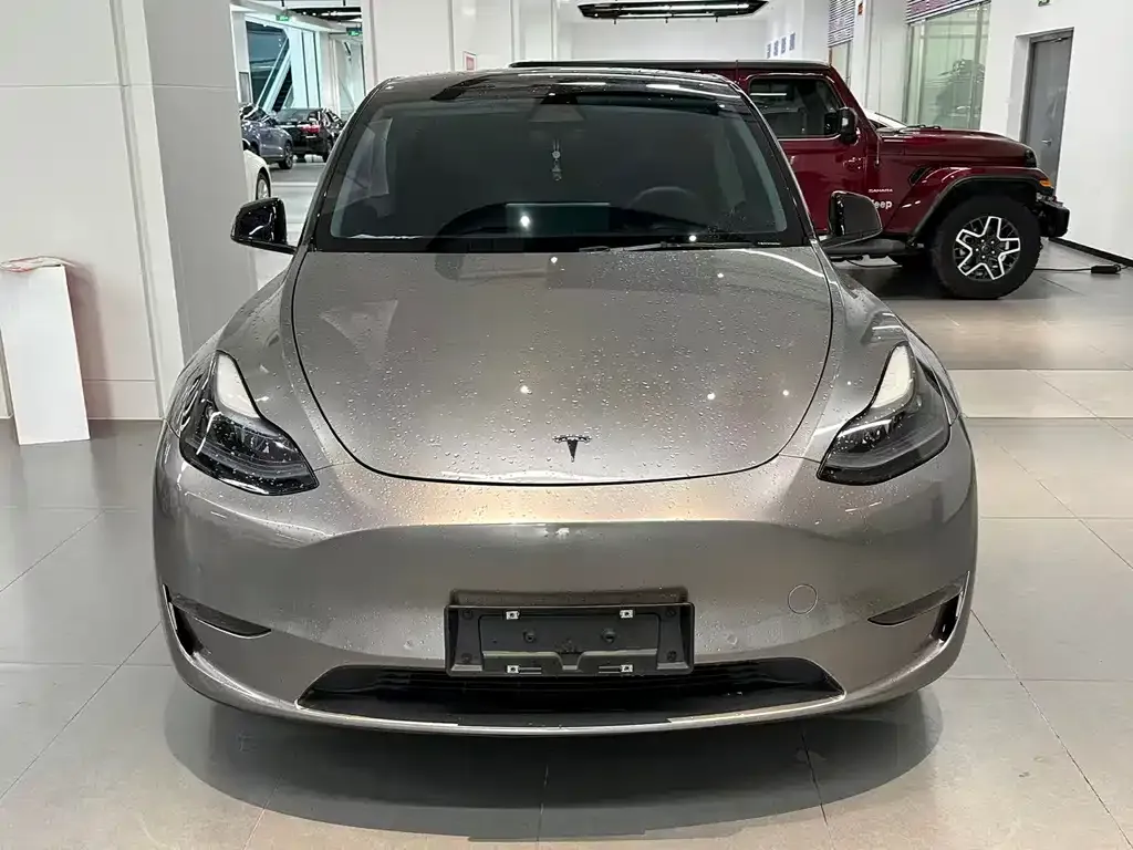 Tesla Model Y — фото 1