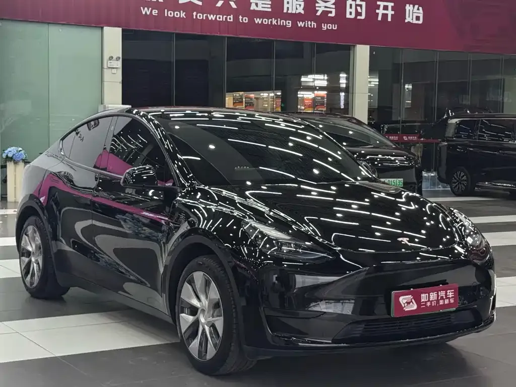 Tesla Model Y — фото 10