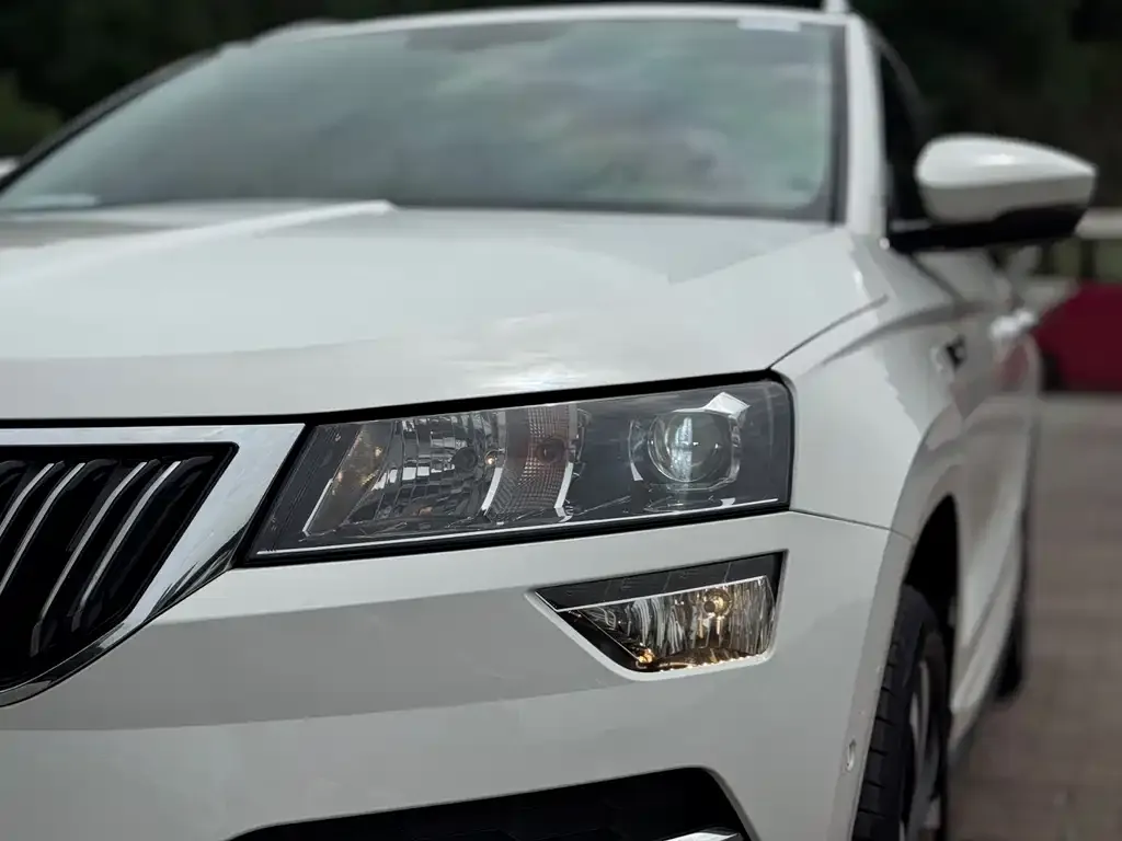 Skoda Karoq — фото 3