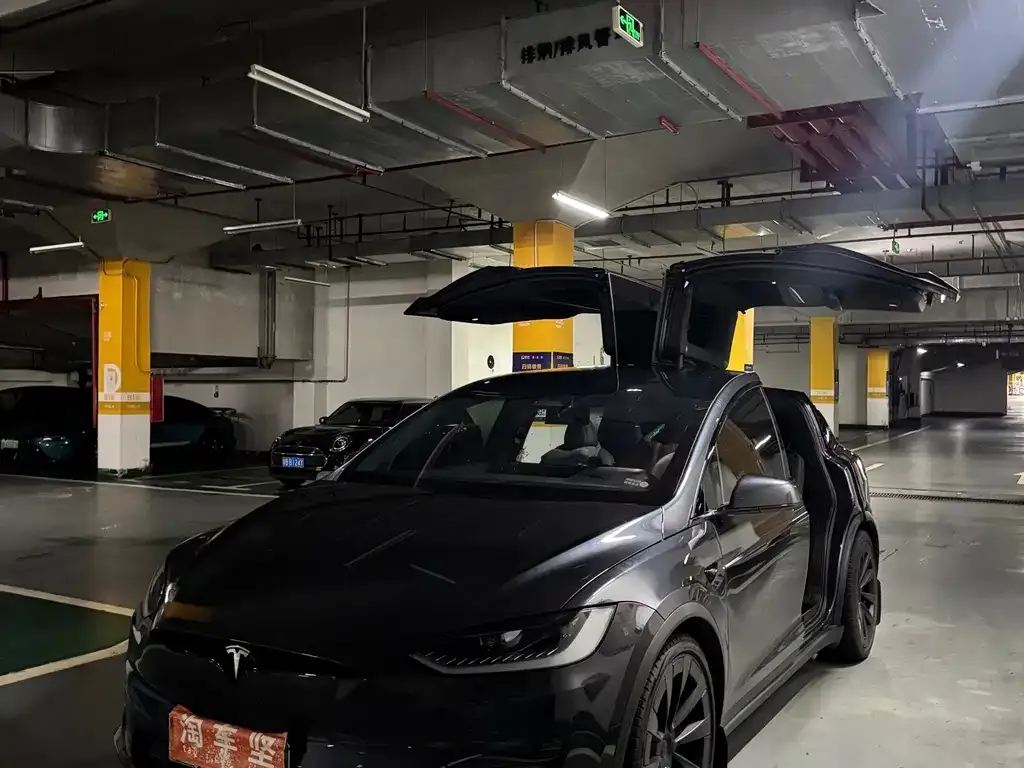 Tesla Model X — фото 1