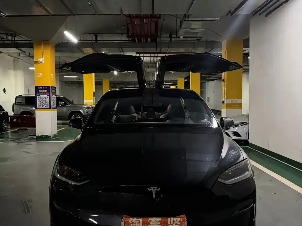 Tesla Model X — фото 6