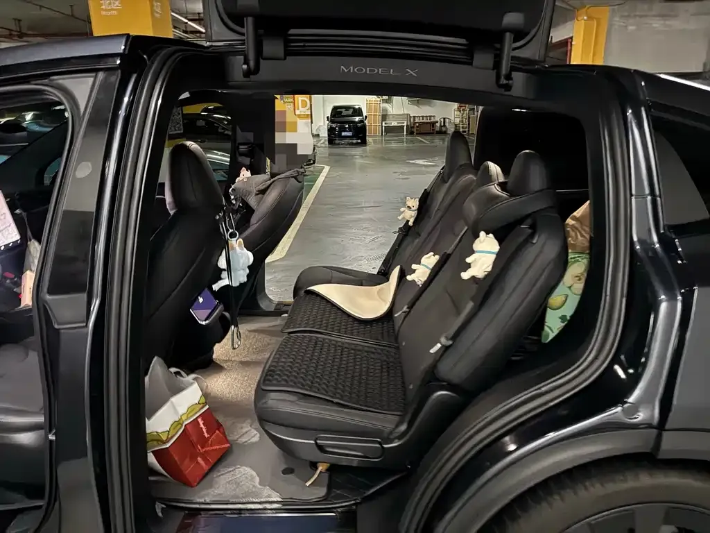Tesla Model X — фото 10