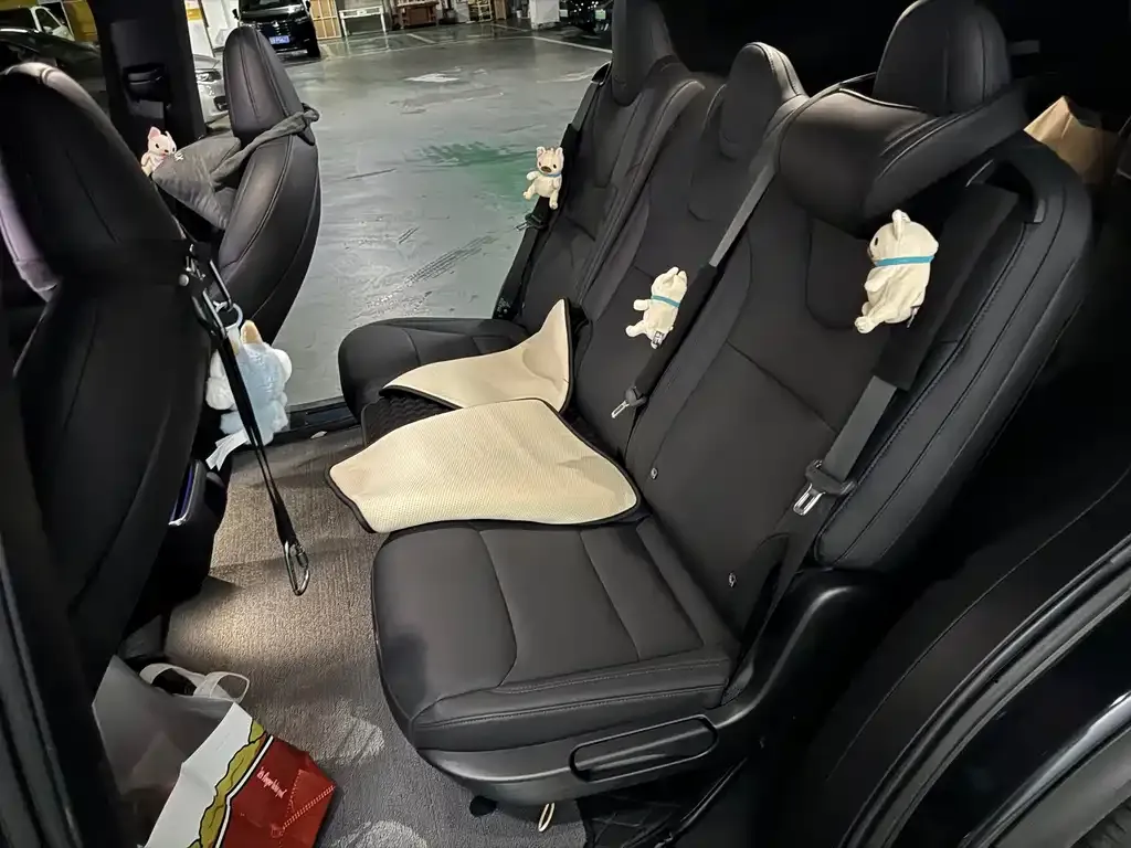 Tesla Model X — фото 4