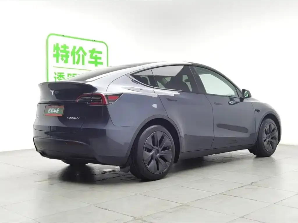 Tesla Model Y — фото 6