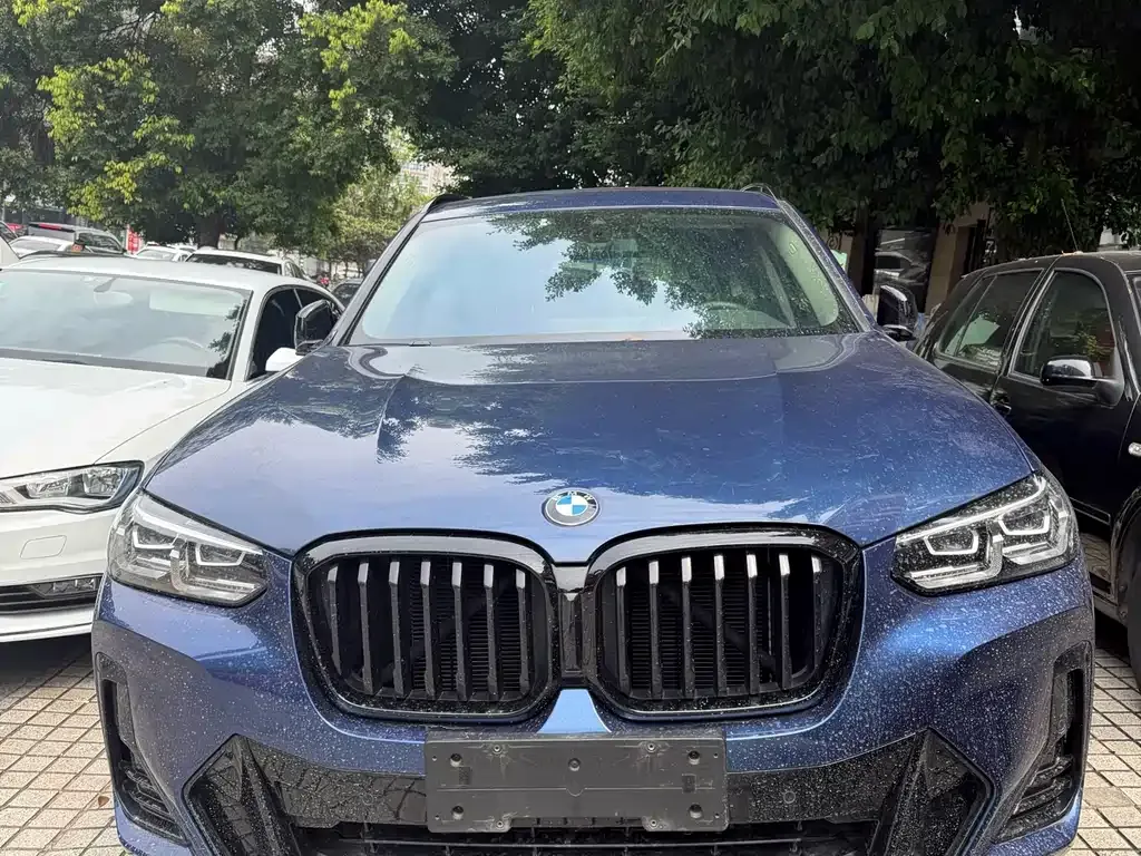 BMW X3 — фото 10