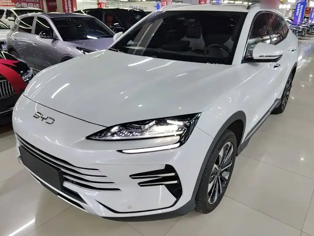 BYD PLUS New Energy — фото 5