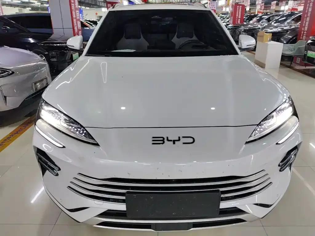 BYD PLUS New Energy — фото 4