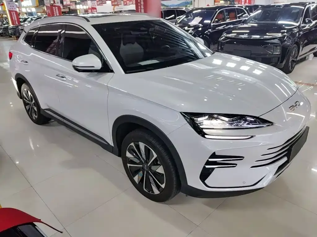 BYD PLUS New Energy — фото 8