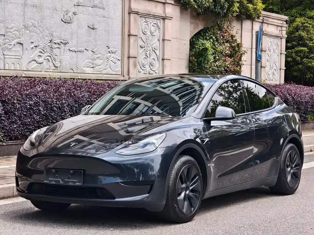 Tesla Model Y — фото 1