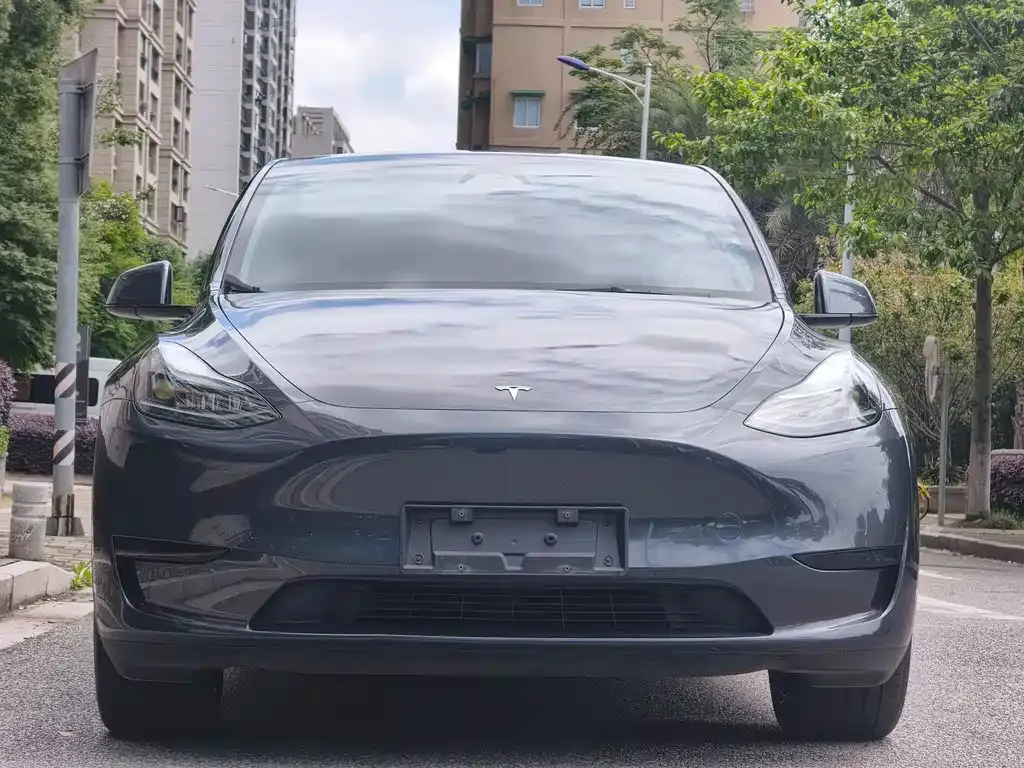 Tesla Model Y — фото 7